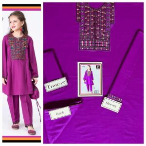Barney Purple Shalwar Kameez For Girls