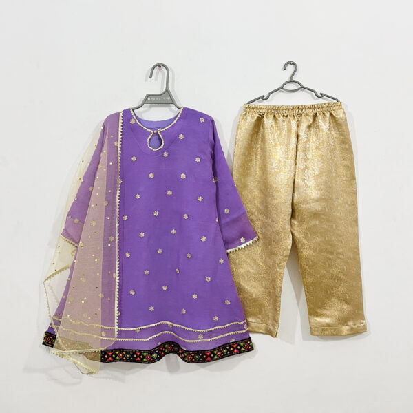 Purple Baby girl party dress